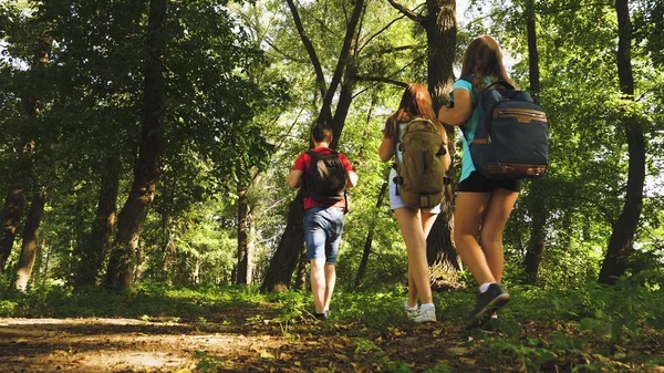 baba ve kızları, çocuklar yaz aylarında parkta seyahat. takım çalışması gezginler. Tatilde olan aile ormanda seyahat ediyor. arkadaşlar-turistler ormanda kamp gidin. İnsanlar ağaçların ve çimenlerin arasında yürürler..