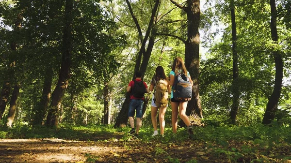 Pappa och döttrar, barn reser i parken på sommaren. Teamwork resenärer. Familj på semester resor i skogen. vänner-turister åker Camping i skogen. Människor går genom träd och gräs. — Stockfoto