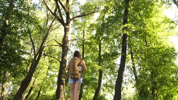 女の子の旅行者はバックパックを持って森の中を歩いています。ハイカーの女性は森の中を歩く。夏の公園で幸せなハイカーの女の子。休暇でティーンエイジャーの女の子の冒険. — ストック写真