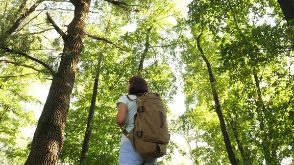 Una escursionista cammina nella foresta. Una viaggiatrice sta camminando nel bosco con uno zaino. Ragazza escursionista felice nel parco estivo. adolescente ragazza avventure in vacanza . — Foto Stock