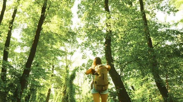 Girl Traveler går genom skogen med en ryggsäck och är glad att sprida sina armar ut till sidor. Vandrare kvinna går i skogen. Happy vandrare flicka i sommarpark. tonåring flicka äventyr på semester. — Stockfoto