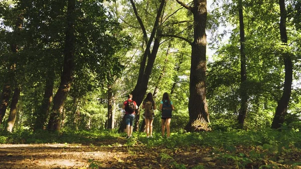 dad and daughters, children travel in park in summer. teamwork travelers. Family on vacation travels in forest. friends-tourists go camping in the forest. People walk through trees and grass.