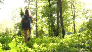 yürüyüşçü kız turist çalılık yoluyla yolunu yapar. genç maceralar . bir sırt çantası ile mutlu kız gezgin ormanda farklı yönlere kollarını yayan döner ve meditasyon.