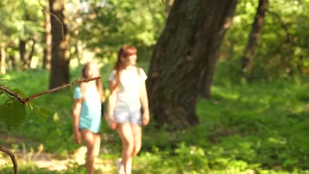 Happy girls travelers go with backpacks in the forest. Hiker woman walks in the forest. happy hiker girl in summer park. teenager girl adventures on vacation. — Stock Video