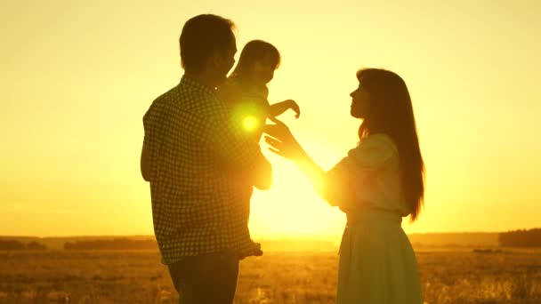 Gün batımı ışığında bir alanda bir çocuk ile aile. Baba, kız ve anne sahada oynuyorlar. Anne ve baba bebeği havaya katıyor, çocuk gülüyor ve neşeyle seviniyor.. — Stok video