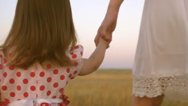 Baby innehar mammor hand, en lycklig familj promenader på kvällen ut ur staden. Mamma går på fältet med sin lilla dotter. mor och barn vilar i parken. barn leker med fostrar i ängen. — Stockvideo