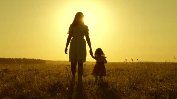 Mom walks on field with her little daughter in sunset. baby holds moms hand, a happy family walks in evening out of town. mother and baby are resting in park. child plays with mother in meadow. — Stock Video