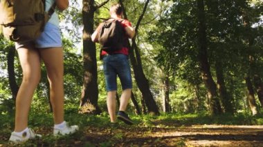 takım çalışması gezginler. baba ve kızları, çocuklar yaz aylarında parkta seyahat. Tatilde olan aile ormanda seyahat ediyor. arkadaşlar-turistler ormanda kamp gidin. İnsanlar ağaçların ve çimenlerin arasında yürürler..