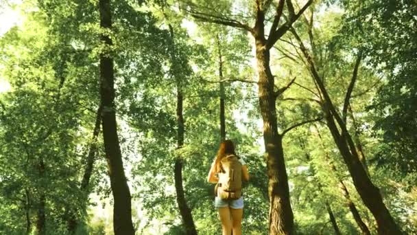 Caminhante mulher caminha na floresta. Viajante menina está andando pela floresta com uma mochila. menina caminhante feliz no parque de verão. adolescente menina aventuras em férias . — Vídeo de Stock