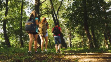 takım çalışması gezginler. baba ve kızları, çocuklar yaz aylarında parkta seyahat. Tatilde olan aile ormanda seyahat ediyor. arkadaşlar-turistler ormanda kamp gidin. İnsanlar ağaçların ve çimenlerin arasında yürürler..