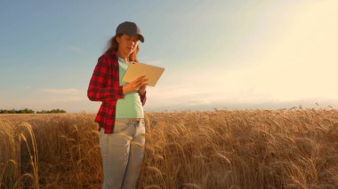 bir tablet ile iş kadını alanında buğday mahsulü çalışmaları. Çiftçi kadın buğday tarlasında bir tabletle çalışıyor, tahıl mahsulünü planlıyor. gelirini planlama alanında iş kadını. tarım kavramı.
