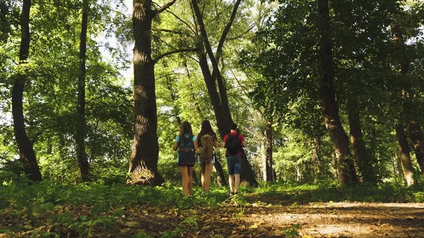 Teamwork reizigers. vader en dochters, kinderen reizen in Park in de zomer. Familie op vakantie reizen in bos. vrienden-toeristen gaan kamperen in het bos. Mensen lopen door bomen en gras. — Stockfoto
