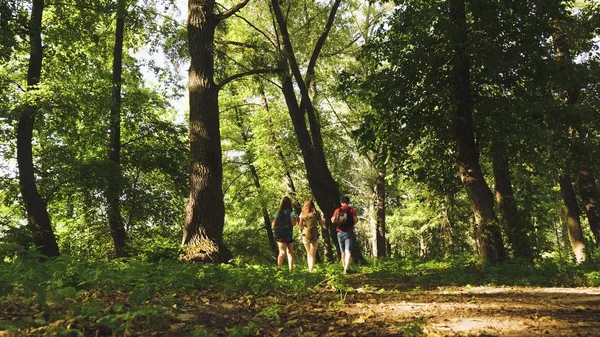 Teamwork. Im Sommer sind die Kinder im Park unterwegs. Familie im Urlaub ist im Wald unterwegs. Freunde-Touristen zelten im Wald. Menschen gehen durch Bäume und Gras. — Stockfoto