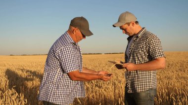Tabletle tarlada takım halinde çalışan çiftçi ve işadamı. Tarımcı ve çiftçi ellerinde bir buğday tanesi tutuyorlar. Mısır gevreği topluyorum. Bir iş adamı tahılın kalitesini kontrol eder..