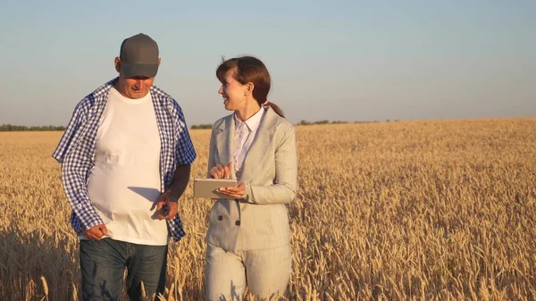 Çiftçi bir iş kadınına buğday satar. Tabletli bir iş kadını ve buğday tarlasında ekip çalışması. İş kadını ve tarımcı tarladaki tahılın kalitesini kontrol ediyor. Tahıl topluyorum..