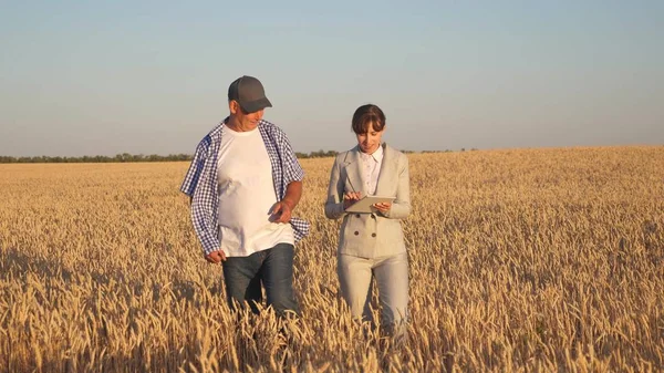 farmer sells wheat grain to a business woman. business woman with tablet and farmer teamwork in a wheat field. Business woman and agronomist checks the quality of grain in field. Harvesting cereals.