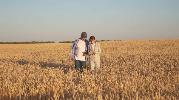 farmer sells wheat grain to a business woman. business woman with tablet and farmer teamwork in a wheat field. Business woman and agronomist checks the quality of grain in field. Harvesting cereals.