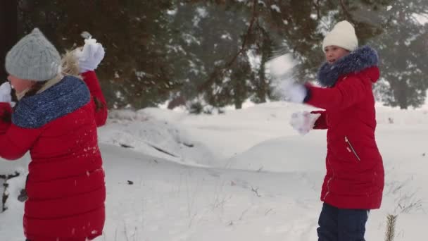 Fröhliche Teenie-Mädchen spielen im verschneiten Winter Schneebälle und lachen vor Vergnügen. Spaziergänge an der frischen Luft der Kinder im Kiefernpark. Weihnachtsferien — Stockvideo