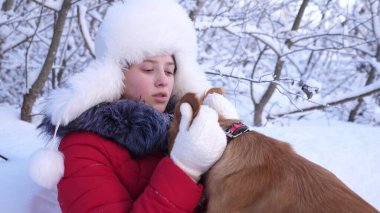 Güzel kız gülümsüyor, sevgili köpek kış aylarında parkta okşamalarla. köpek kız yüz yalıyor. av köpeği kızla kışın Ormanda yürür. köpek hostes kisses.