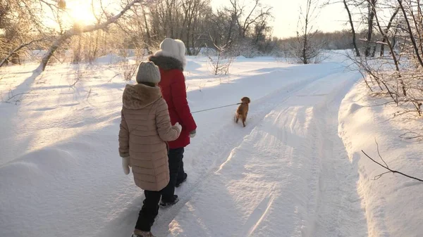 Niños adolescentes viajan en invierno en el parque con un perro. dos niñas y perro y perro caminan a lo largo del camino en el parque de invierno. Los niños juegan con el perro en la nieve en invierno en el bosque. familia feliz paseando a su mascota . — Foto de Stock