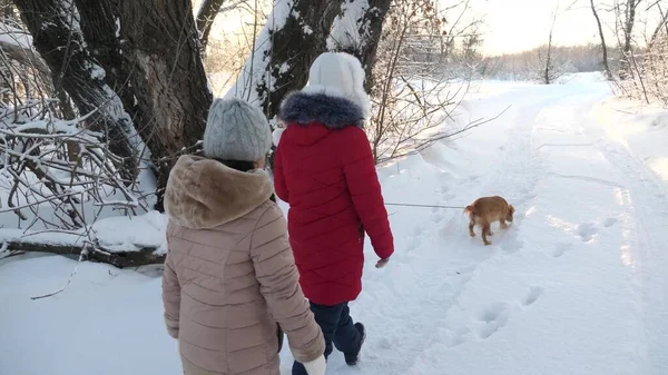 Bambini adolescenti viaggiano in inverno nel parco con un cane. due ragazze e cane e cane a piedi lungo il percorso nel parco invernale. I bambini giocano con il cane nella neve in inverno nella foresta. famiglia felice a piedi il loro animale domestico . — Foto Stock