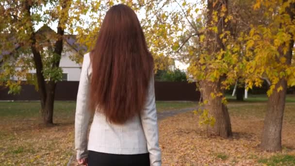 Mujer en traje de negocios con maletín negro en la mano está caminando por el parque de la ciudad. sexy mujer de negocios lleva en la mano un maletín negro con documentos. concepto de mujer de negocios exitosa . — Vídeos de Stock