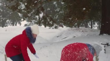 Çocuklar Noel tatili. Çocuklar soğuk bir kış gününde çam parkında kartopu oynayıp gülerek eğlenirler. Gençler kozalaklı kış ormanlarında kartopu oynar ve gülümserler.