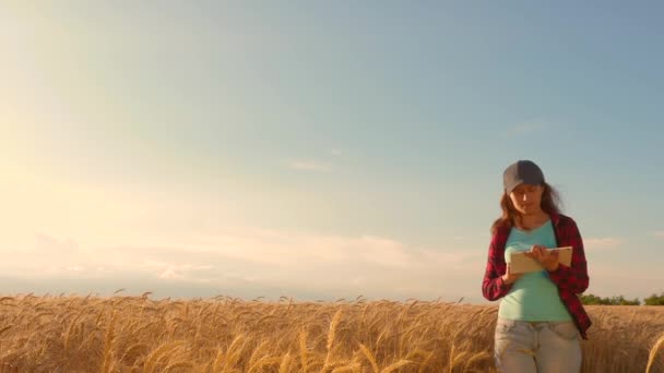 Деловая женщина с планшетом изучает урожай пшеницы в поле. Женщина-фермер работает с планшетом на пшеничном поле, планирует посев зерна. деловая женщина в области планирования своего дохода. сельскохозяйственная концепция . — стоковое видео