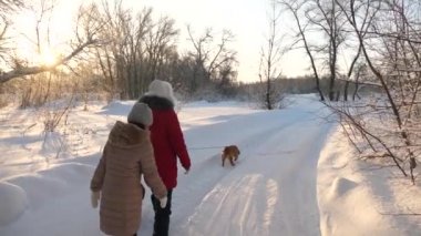 Çocuklar kışın ormanda, Noel tatilinde köpekle oynarlar. Mutlu aile hayvanlarını gezdiriyor. Genç çocuklar kışın parkta bir köpekle seyahat ederler. İki kız, bir köpek ve bir köpek kış parkında..