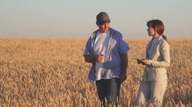 Çiftçi bir iş kadınına buğday satar. Tabletli bir iş kadını ve buğday tarlasında ekip çalışması. İş kadını ve tarımcı tarladaki tahılın kalitesini kontrol ediyor. Tahıl topluyorum..