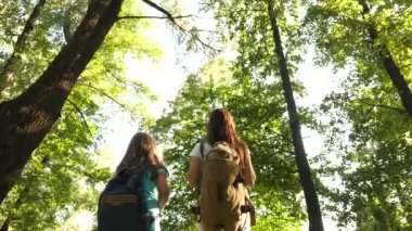 takım çalışması turistler gençler. mutlu kız gezginler ormanda sırt çantaları ile gidin. Yürüyüşçü kadın ormanda yürüyor. yaz parkında mutlu yürüyüşçü kız. tatilde genç kız maceraları.