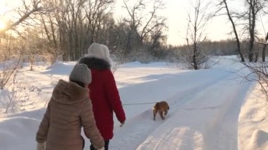 Çocuklar kışın bir köpekle parkta seyahat ederler. İki kız, köpek ve köpek kış parkında yol boyunca yürüyorlar. Çocuklar ormanda kışın karda köpekle oynarlar. Mutlu aile hayvanlarını gezdiriyor..