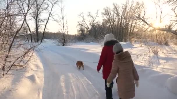 A két lány és a kutya és a kutya séta a kerti ösvény-ban winter park. Gyerekek játszanak kutya a hó a téli erdőben. boldog család uk kisállat sétáló. — Stock videók