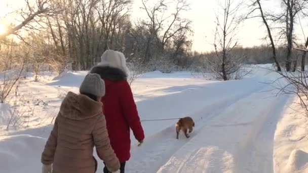 Дети-подростки путешествуют зимой в парке с собакой. две девочки и собака и собака прогуливаются по тропинке в зимнем парке. Дети играют с собакой в снегу зимой в лесу. счастливая семья выгуливает своего питомца . — стоковое видео