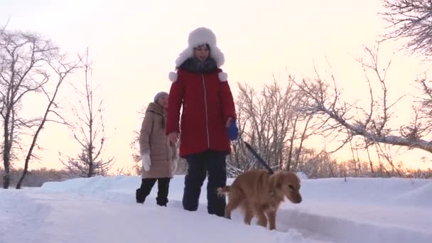 Діти і собака гуляють по дорозі в зимовий парк. дві дівчини грають з собакою взимку в лісі . — стокове відео