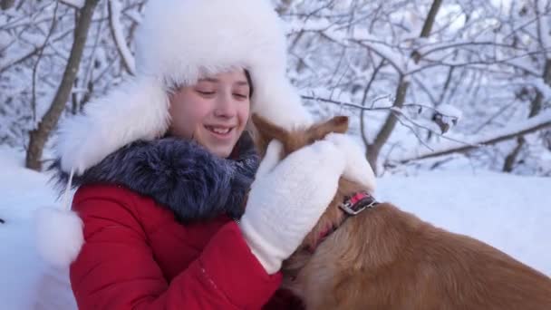 Niño juega con su mascota en las vacaciones de Navidad en el bosque. Hermosa chica sonríe, acaricia a su amado perro en invierno en el parque. chica con un perro de caza pasea en invierno en el bosque. perro besa el — Vídeo de stock