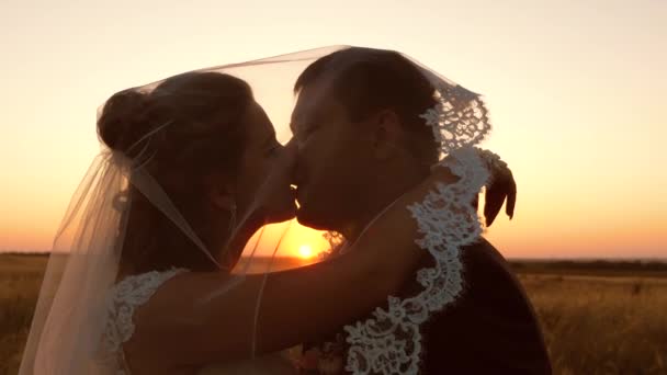 Young married couple kissing and hugging at sunset. Married life of man and woman — Stock Video