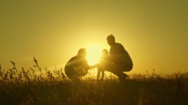 kızı parkta babasının kollarında atlama. Aile konsepti. Doğada küçük bir çocukla yürümek. çocuk gün batımı ışığında sahada baba ve anne ile oynar.