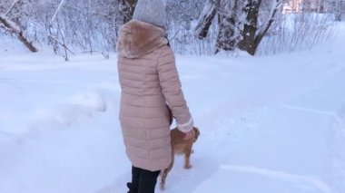 Children play with dog in snow in winter in forest. girls and dog and dog walk along path in winter the park. happy family walking their pet.