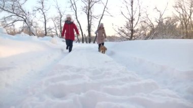 Çocuklar kışın bir köpekle parkta seyahat ederler. İki kız, köpek ve köpek kış parkında yol boyunca yürüyorlar. Çocuklar ormanda kışın karda köpekle oynarlar. Mutlu aile hayvanlarını gezdiriyor..