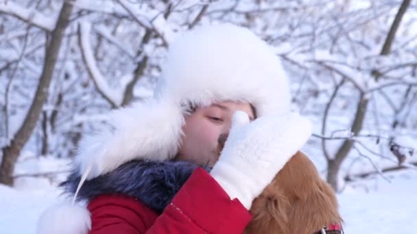 Enfant joue avec son animal de compagnie pendant les vacances de Noël dans la forêt. Belle fille sourit, caresse son chien bien-aimé en hiver dans le parc. fille avec un chien de chasse promenades en hiver dans la forêt. chien embrasse le — Video
