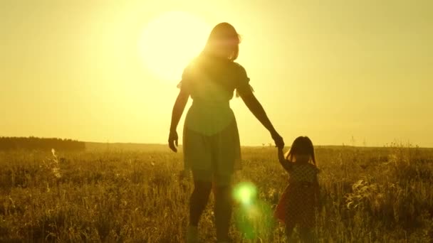 Little daughter and mom walk around the field holding hands. baby holds moms hand. happy family walks in evening out of town. Mother and baby are resting in park. child plays with his mother in — Stock Video