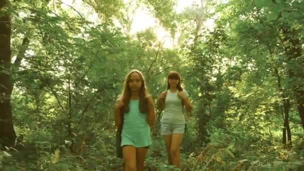 Happy girls travelers with backpacks go through the thicket in the forest. children tourists travel in the summer park. teenagers looking for adventure. — Stock Video