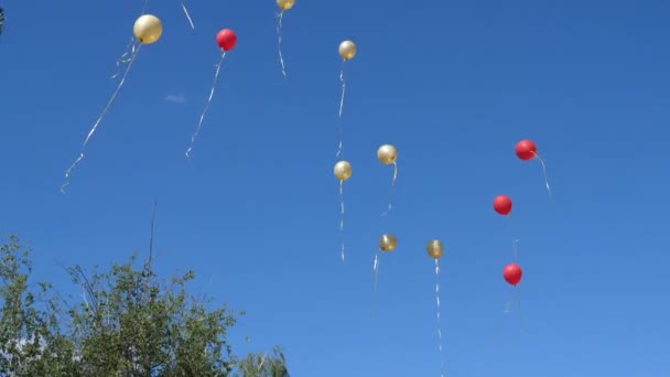 Beautiful helium balloons fly through the air. Many colorful balloons flying in the air. holiday concept — Stock Video