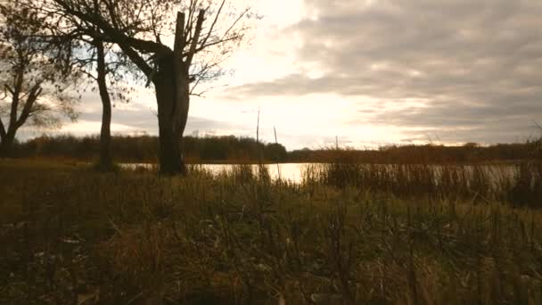 Hermoso cielo con nubes sobre el parque de otoño y el lago. En cámara lenta. parque en el otoño. árbol con follaje amarillo junto al lago . — Vídeos de Stock