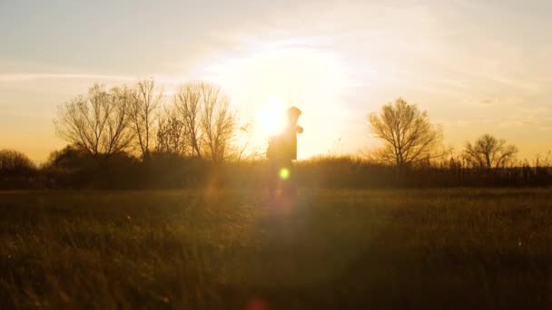 Silhouette egy lány játszik egy kutya a parkban naplementekor. A háziasszony egy háziállattal sétál. Boldog asszony szeretett kutyájával fut — Stock videók