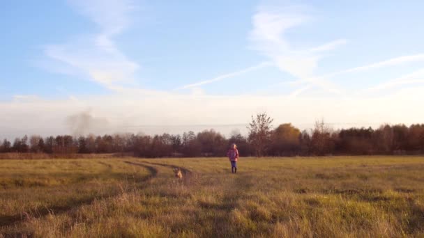 Feliz chica adolescente pasea con su amado perro a través del campo. Una chica con un perro en el parque. Mascotas — Vídeo de stock