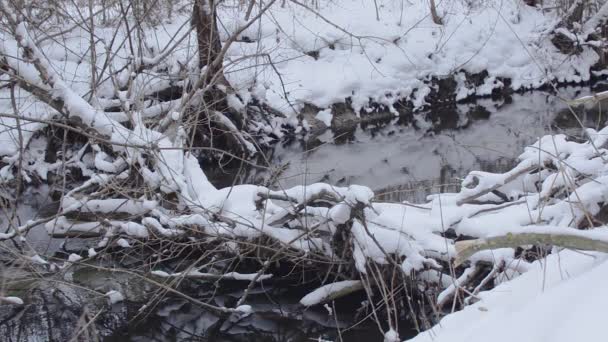 Незамерзающая талая вода в реке переносится течением. Белый снег в морозную зиму. Зимний поток — стоковое видео