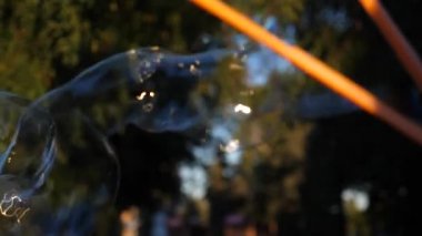 Şehir Parkı mavi gökyüzü karşı büyük kabarcıkları. Yakın çekim. Ağır çekim