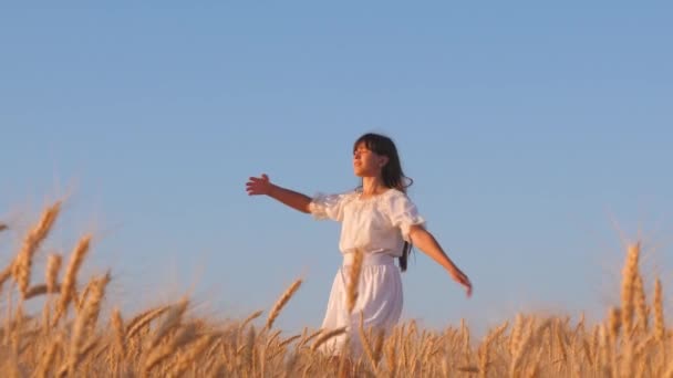 Chica en vestido blanco con el pelo largo corre a través de un campo de trigo amarillo, tiro en cámara lenta — Vídeos de Stock